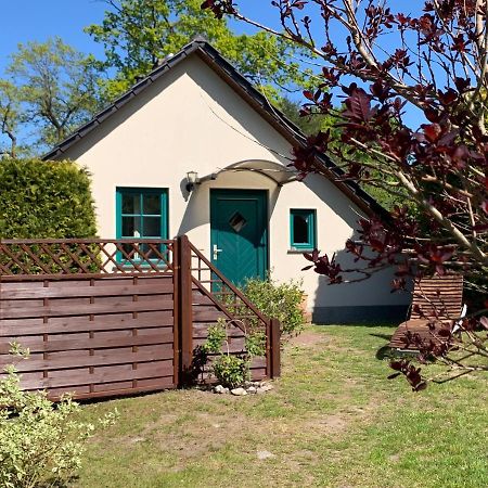 Basedow  „Rentmeisterhaus Basedow“ מראה חיצוני תמונה