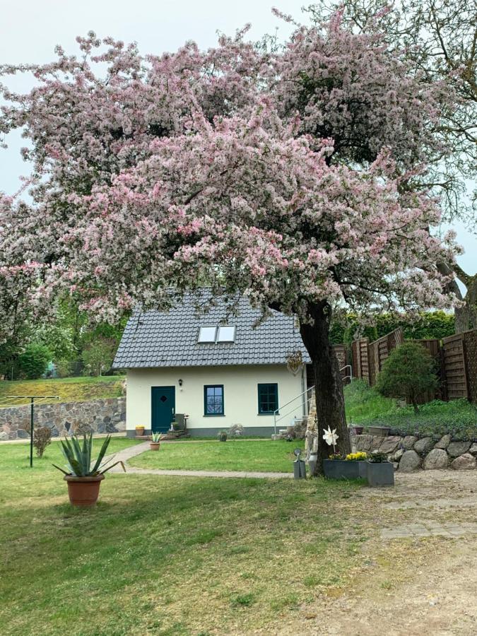 Basedow  „Rentmeisterhaus Basedow“ מראה חיצוני תמונה